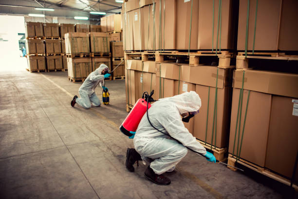 Best Best Pest Control Companies  in Nellysford, VA