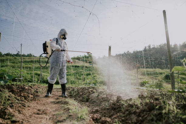 Best Mosquito Control Services  in Nellysford, VA