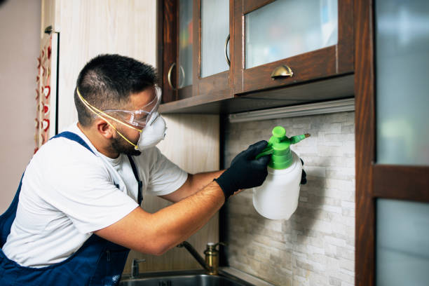 Best Wildlife Control Services  in Nellysford, VA