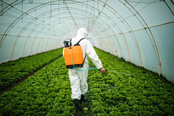 Best Pest Control Near Me  in Nellysford, VA