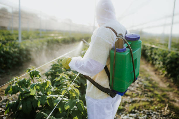  Nellysford, VA Pest Control Pros